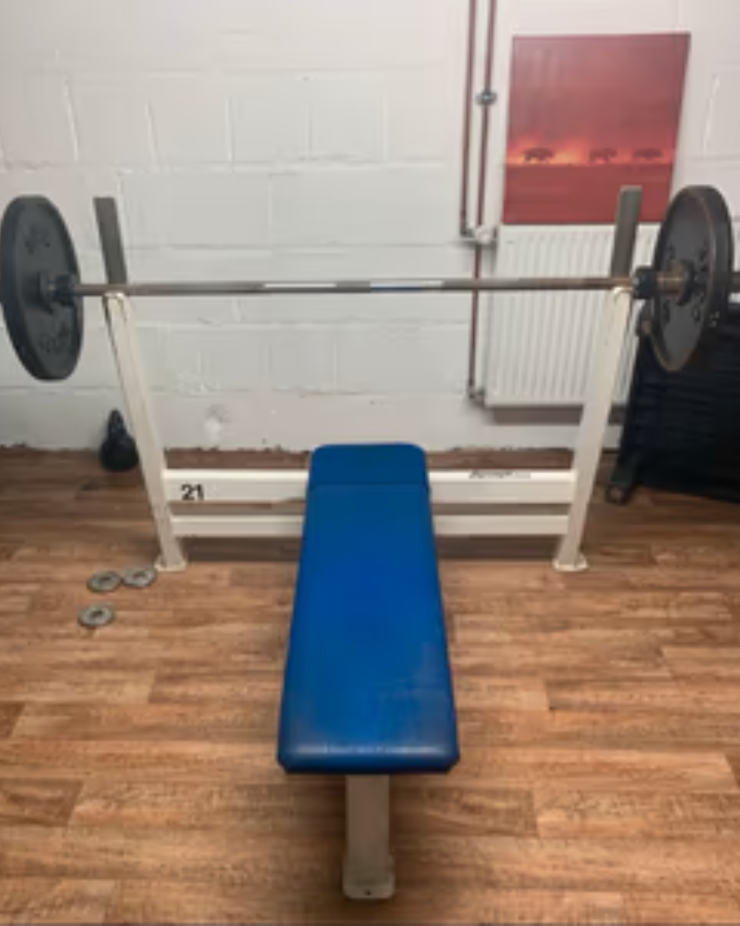 Gym80 Hantelbank