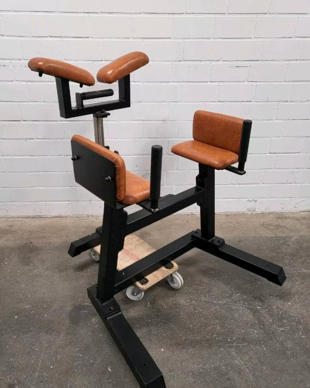 Gym80 Reverse Hyperextension