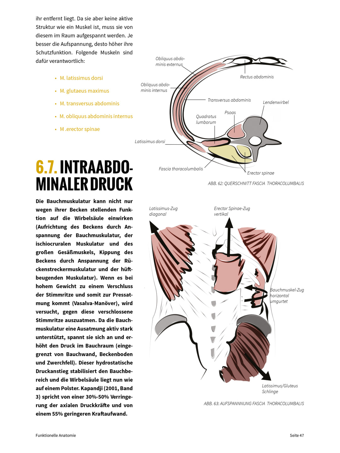FUNKTIONELLE ANATOMIE