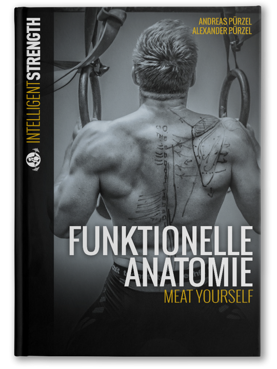 FUNKTIONELLE ANATOMIE