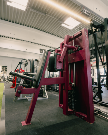 Gym80 Seitheben