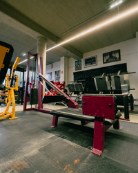 Gym80 Kickback Maschine Liegend